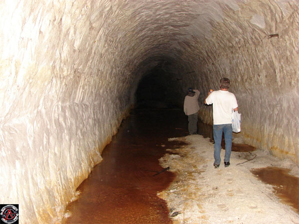 Greg Brick's access to the system was a guided tour, sanctioned by Ford. Pbbbth.