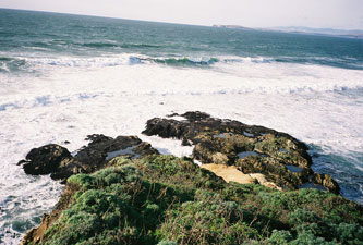 the point of Tomales Point